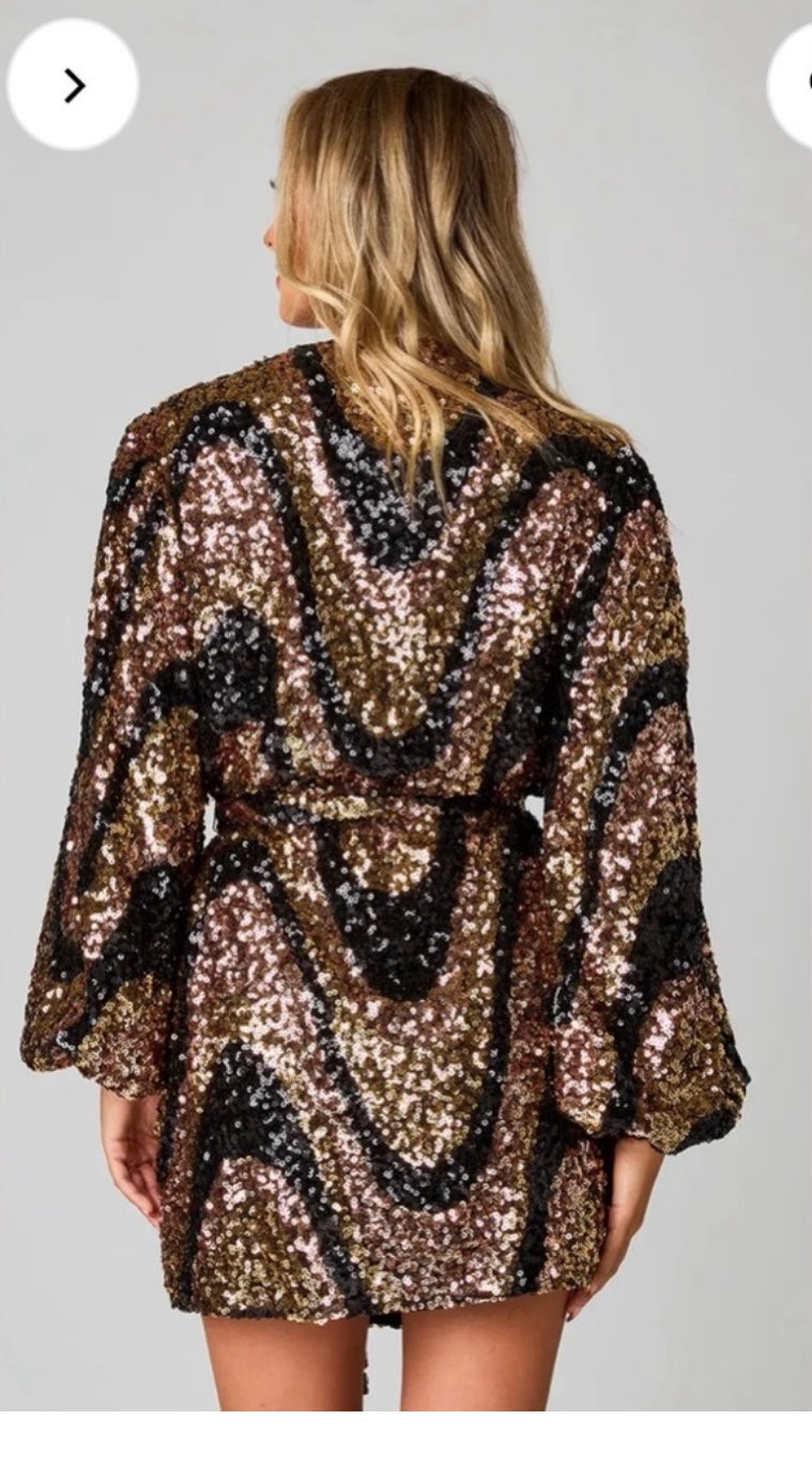Midnight Champagne Sparkle Dress