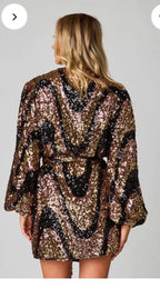 Midnight Champagne Sparkle Dress